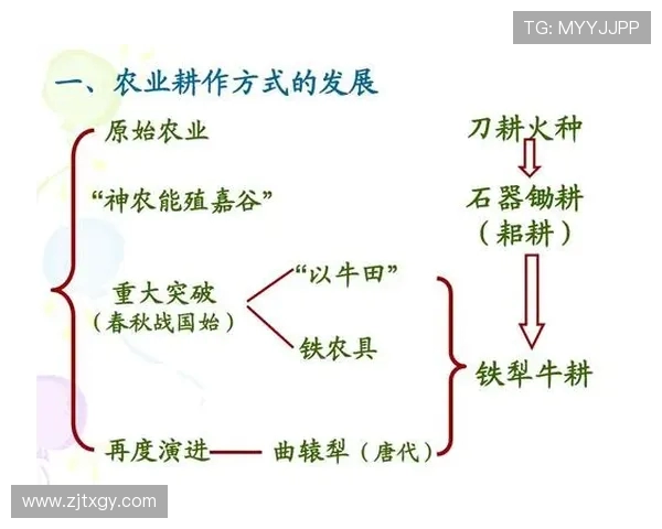 网球运动的历史演变与未来发展趋势分析