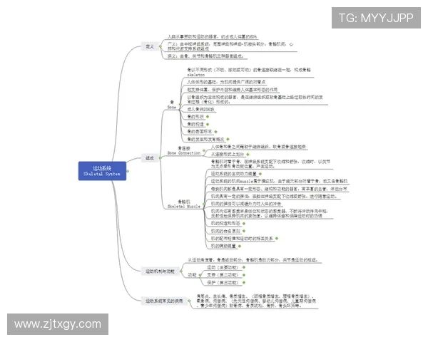 构建以体育俱乐部为核心的城市社区融合与全民健身发展新模式研究 构建以体育俱乐部为核心的城市社区融合与全民健身发展新模式研究